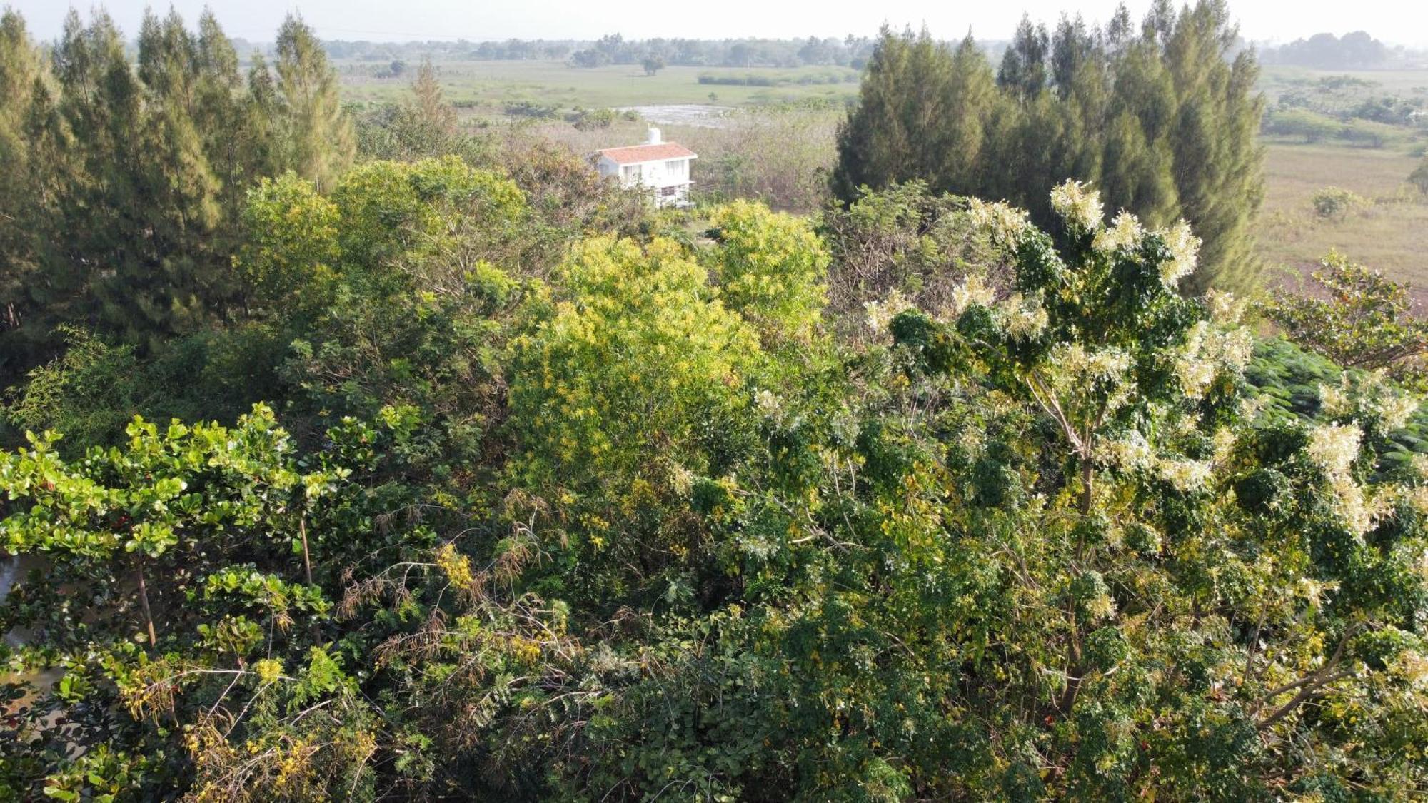 Vaksana Farm Stay Gudraippattu Εξωτερικό φωτογραφία